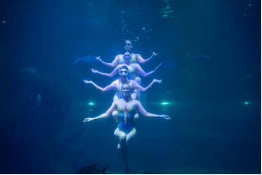 罗源湾海洋世界年卡【MJ】 商品图6