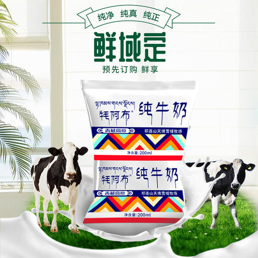 【鲜域订15箱】天境雪域纯牛奶 青海祁连营养早餐奶 一键下单 分期发货 200ml*16袋*15箱 商品图1