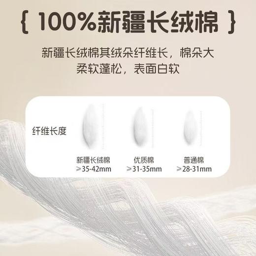 10楼堂皇       暖暖棉花冬被      吊牌价1890-1990元活动价299元 商品图1