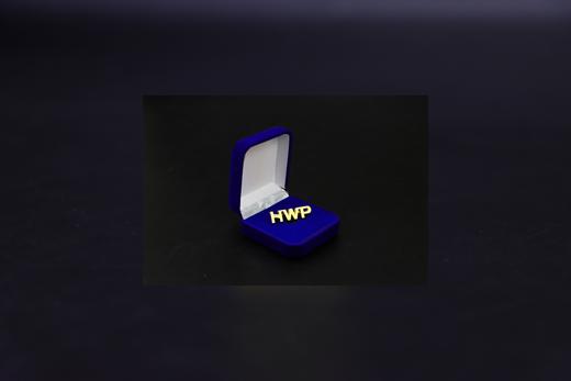 BC泰康专属HWP徽章 商品图3