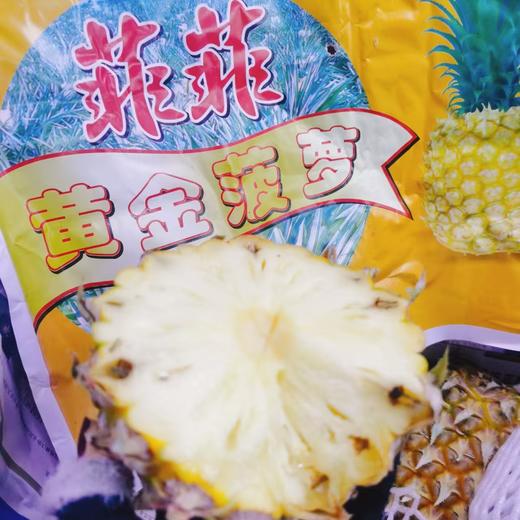 海南菠萝一个 商品图2