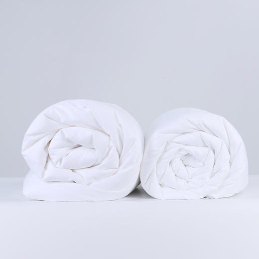 【精选】玉丝梦 空调被春秋被冬暖被子母被  纯手工制作100%桑蚕长丝 净重2斤-6斤 商品图4