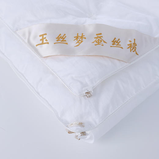 【精选】玉丝梦 空调被春秋被冬暖被子母被  纯手工制作100%桑蚕长丝 净重2斤-6斤 商品图2