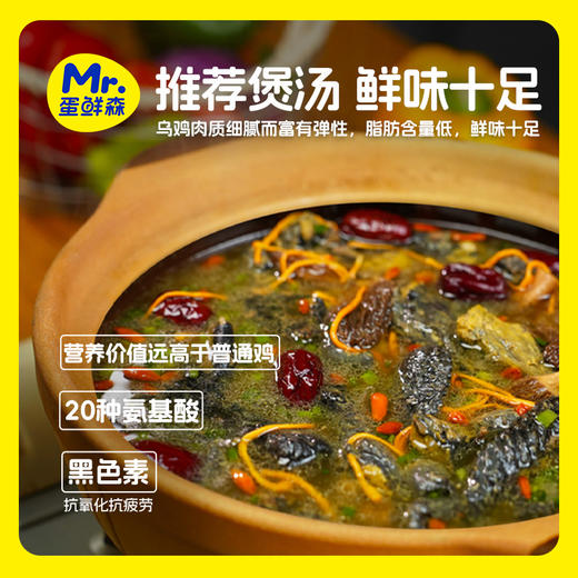 乌鸡 3只【地道老品种】 蛋鲜森 肉质细腻 鲜活宰杀 谷饲喂养 商品图4