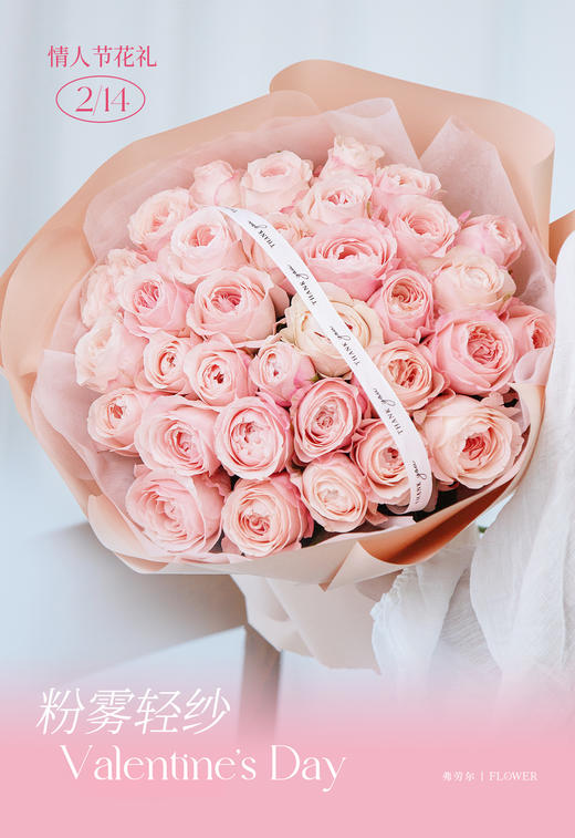 粉雾轻纱 商品图2