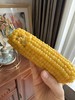 宝藏玉米（黑玉米/黄糯玉米/白糯玉米）内蒙赤峰黄金玉米产业带 稀有沙土地种植 软糯香！o添加 非转基因 3小时鲜制 商品缩略图5