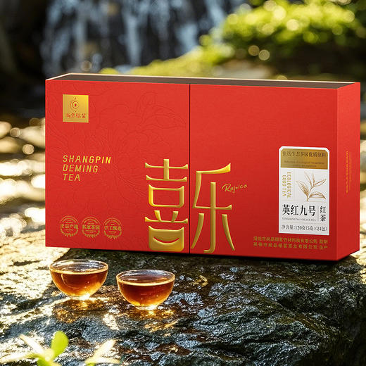 【尚品德茗-喜乐】英红九号红茶、英德红茶 商品图2