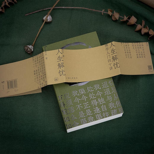 人生解忧：佛学入门四十讲 适合现代人读的佛学智慧入门读物 用佛学智慧回应心灵困境 成庆 著 商品图3