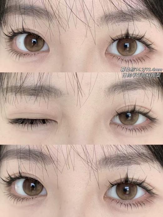 【中直径日抛】wecute-暮色棕-14.2mm【日抛 0-800度 无525/575】 商品图7