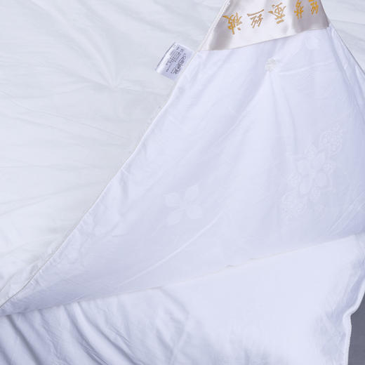 【精选】玉丝梦 空调被春秋被冬暖被子母被  纯手工制作100%桑蚕长丝 净重2斤-6斤 商品图3