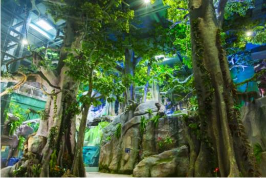 罗源湾海洋世界年卡【MJ】 商品图4