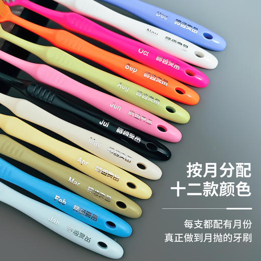 【每月1支 加宽刷头 极细刷毛】皓齿良品月抛牙刷 12支/桶 商品图5