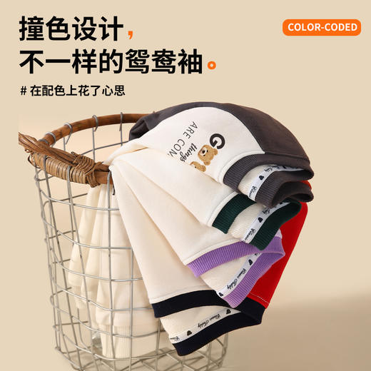 【男女同款】【110-160】【精典泰迪】男女童春秋撞色长袖纯棉T恤 商品图8