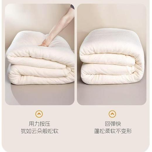 10楼堂皇       暖暖棉花冬被      吊牌价1890-1990元活动价299元 商品图8