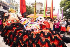 2月13日【鹤山烧炮】1天摄影：非遗狂欢，一场不容错过的民俗盛宴！【特惠团】