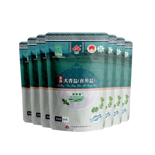 【鲁盐】纯净鲁青大青盐（食用盐）7袋组合装【生产日期24年4月份以后的 保质期5年】 商品图1