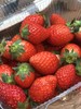 小辉草莓🍓(红颜草莓)，限北京同城闪送！ 商品缩略图0