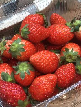 小辉草莓🍓(红颜草莓)，限北京同城闪送！
