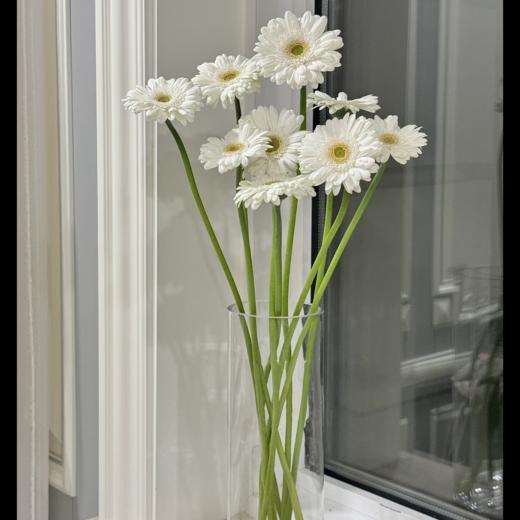 弗朗菊丨波特丨10支 商品图1