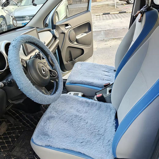 欧拉 黒猫  351km 亲子版【长租-北京】 商品图5