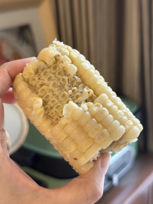 宝藏玉米（黑玉米/黄糯玉米/白糯玉米）内蒙赤峰黄金玉米产业带 稀有沙土地种植 软糯香！o添加 非转基因 3小时鲜制 商品图2