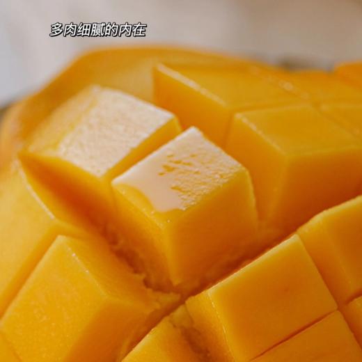 【京东快递】海南到手即食金煌芒  芒果之王 源头直发 果形饱满 个头大 青黄色熟透转全黄 香浓芒果味  - ATX 商品图1