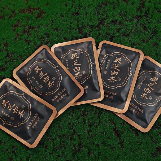 灵芝白茶（林下仿野生种植的灵芝与陈年白茶的完美结合） 商品图1