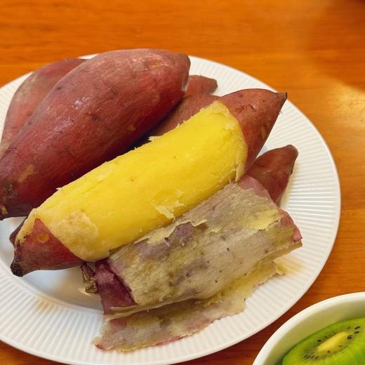 【52度良作黄心红薯糖心】顺丰到家~ 新鲜沙地番薯  52度超高甜度 细腻  低卡低脂  解馋又吃不胖 商品图3