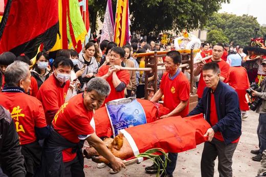 2月13日【鹤山烧炮】1天摄影：非遗狂欢，一场不容错过的民俗盛宴！【特惠团】 商品图3