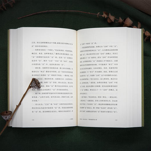 人生解忧：佛学入门四十讲 适合现代人读的佛学智慧入门读物 用佛学智慧回应心灵困境 成庆 著 商品图5