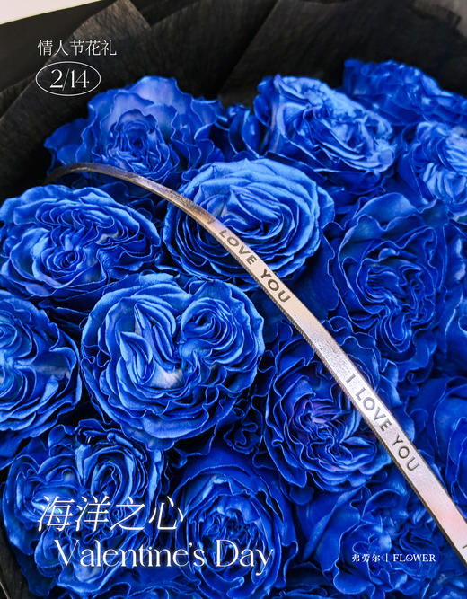 海洋之心（厄瓜多尔玫瑰） 商品图1