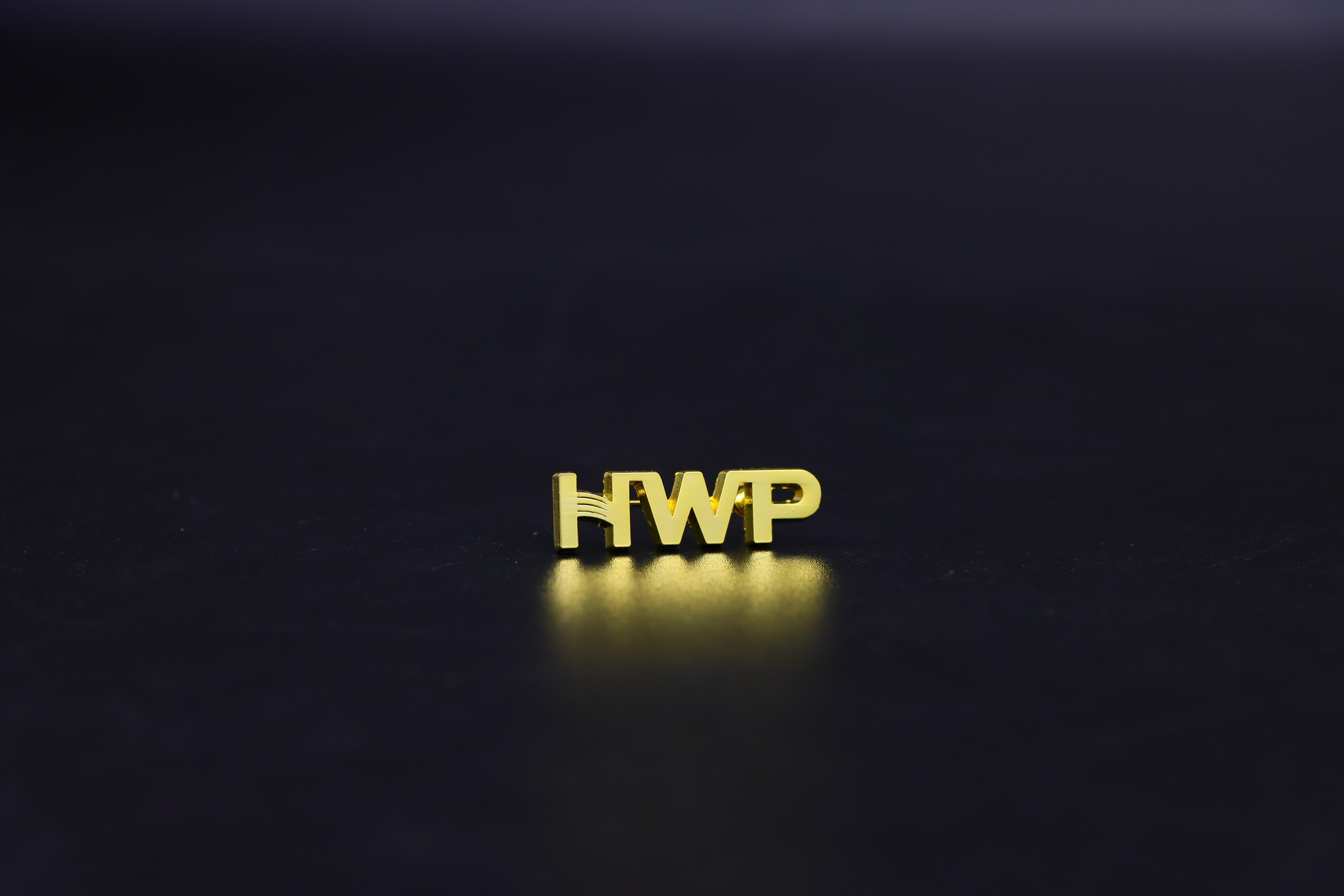 BC泰康专属HWP徽章