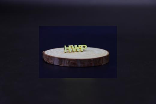 BC泰康专属HWP徽章 商品图2