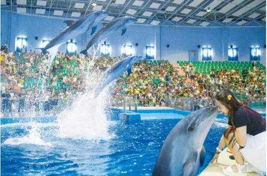 罗源湾海洋世界年卡【MJ】 商品图5