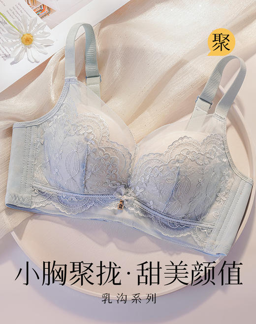 【小胸聚拢刺绣蕾丝】内衣女舒适无钢圈聚拢调整型上托美背文胸罩花底如画 商品图1