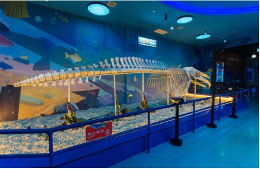 罗源湾海洋世界年卡【MJ】 商品图2