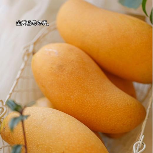 【京东快递】海南到手即食金煌芒  芒果之王 源头直发 果形饱满 个头大 青黄色熟透转全黄 香浓芒果味  - ATX 商品图2