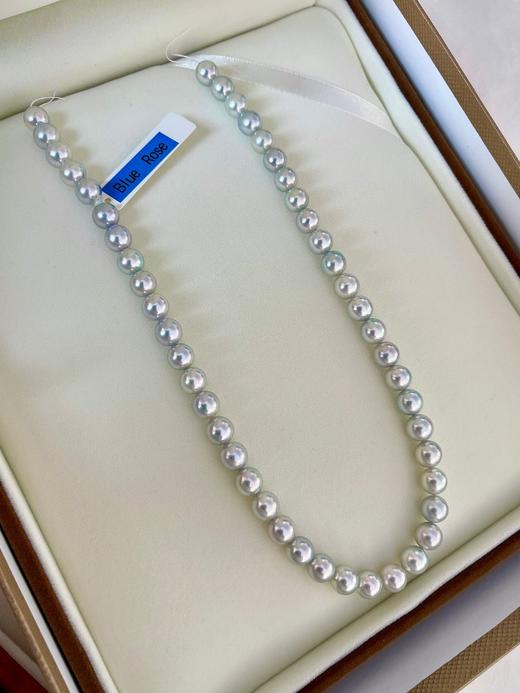 8mm-9mm akoya珍珠项链 商品图2