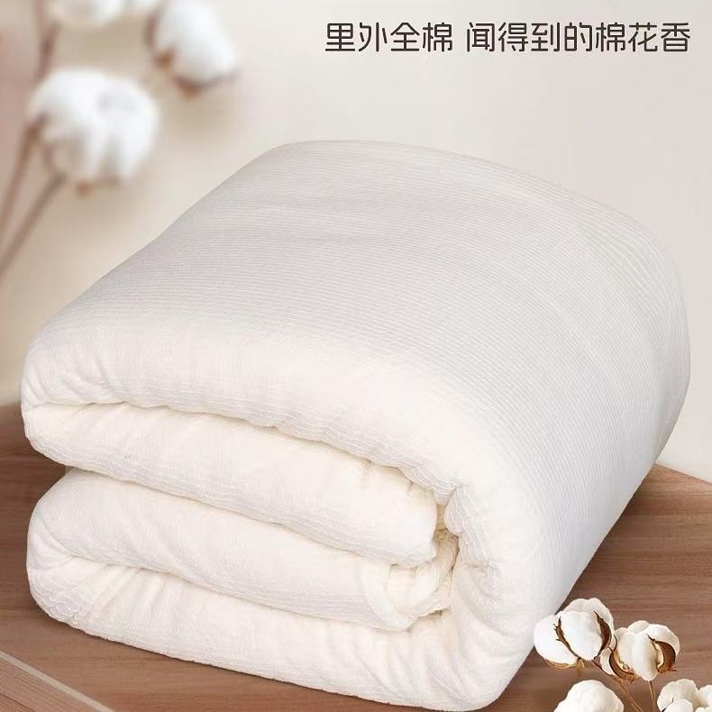 【满300减30】10楼堂皇       暖暖棉花冬被      吊牌价1890-1990元活动价299元