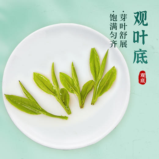 【新茶上市 买就送水晶杯+手提袋】艺福堂2025新茶初春龙井茶50g/罐EFU18+明前头采特级 钱塘龙井茶 商品图4