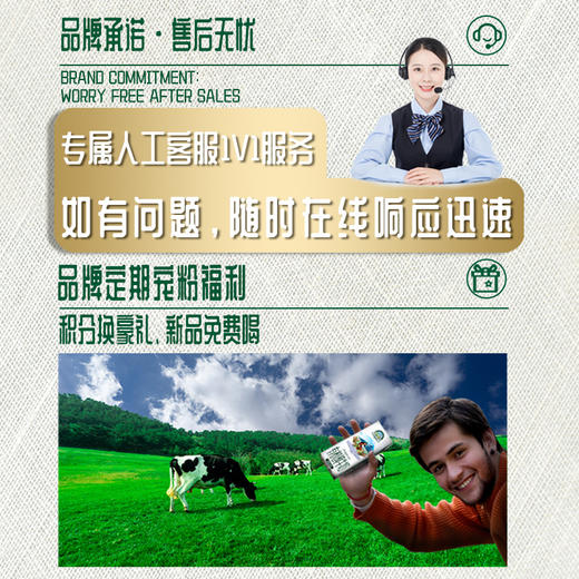 【鲜域订15箱】天境雪域纯牛奶 青海祁连营养早餐奶 一键下单 分期发货 200ml*16袋*15箱 商品图5