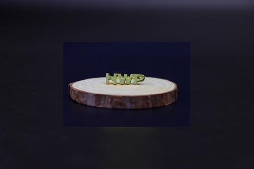 BC泰康专属HWP徽章 商品图1