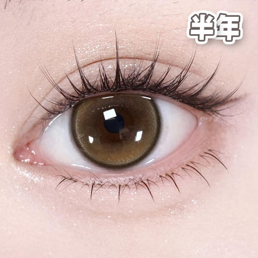 #Leo Brown 鹿仙贝 棕 14.2mm【1片装】敏感舒适推荐 / 半年抛 商品图1