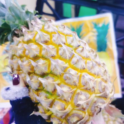 海南菠萝一个 商品图1