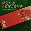 灵芝红茶 （林下仿野生种植的灵芝与红茶的完美结合） 商品缩略图0