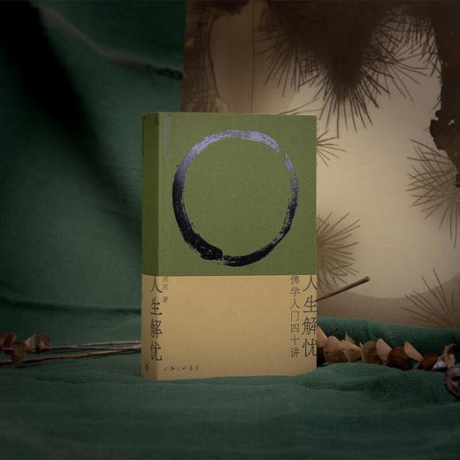 人生解忧：佛学入门四十讲 适合现代人读的佛学智慧入门读物 用佛学智慧回应心灵困境 成庆 著 商品图2