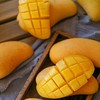 【京东快递】海南到手即食金煌芒  芒果之王 源头直发 果形饱满 个头大 青黄色熟透转全黄 香浓芒果味  - ATX 商品缩略图0