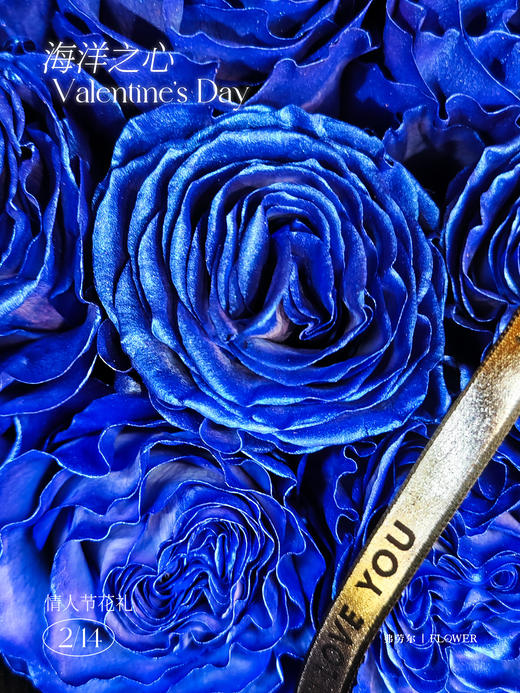 海洋之心（厄瓜多尔玫瑰） 商品图2