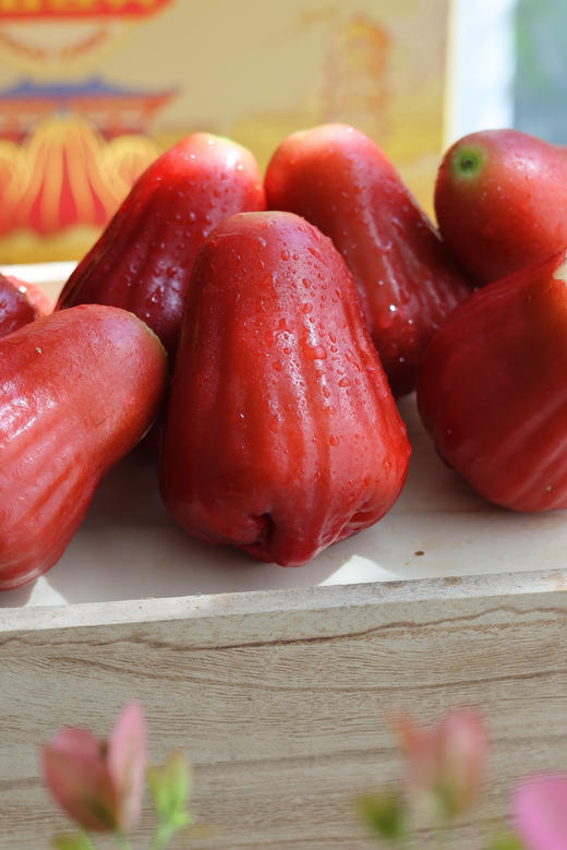 ‼️‼️端午节福利【海南莲雾】3斤装中果，顺丰陆运，新鲜 商品图1