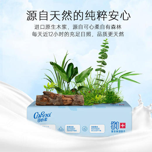 【一般贸易】可心柔COROU V9润+宝贝系列3层120抽12包装 商品图6